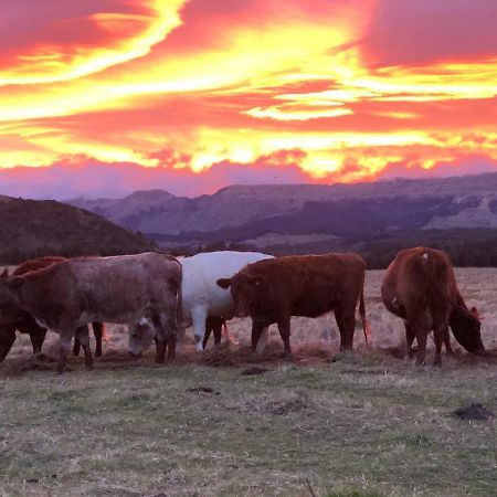 Mohaka River Farm Te Haroto Eksteriør bilde