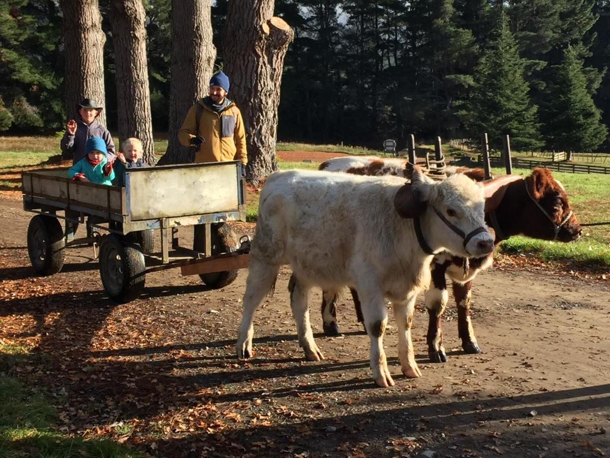 Mohaka River Farm Te Haroto Eksteriør bilde