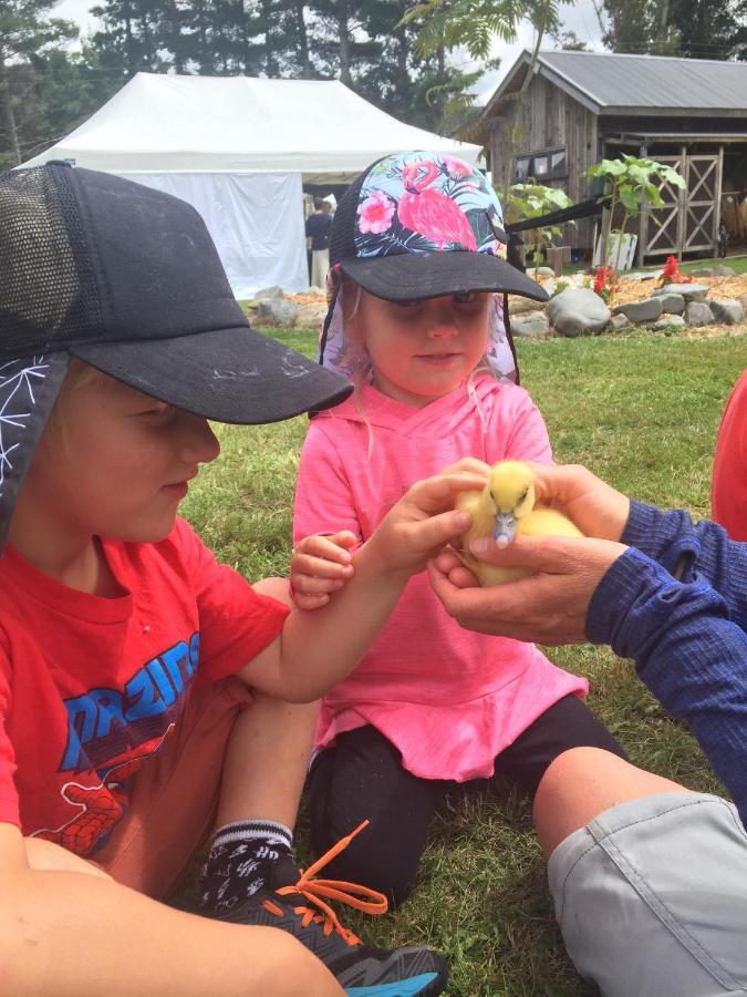 Mohaka River Farm Te Haroto Eksteriør bilde