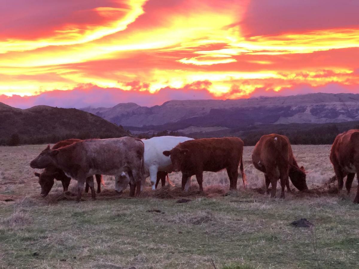 Mohaka River Farm Te Haroto Eksteriør bilde